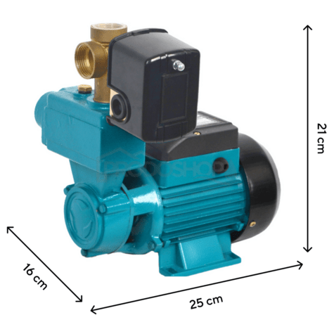 Pompa autoamorsanta WZI 250 + presostat, manometru, fiting