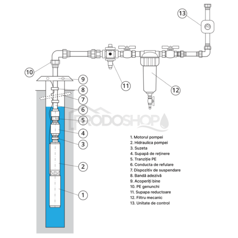 Diagrame de cablaj: Pompă submersibilă automată 2,5