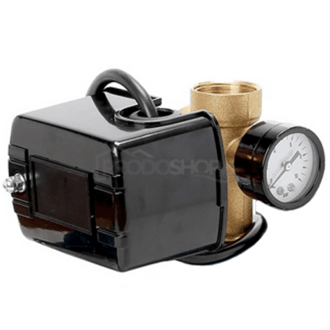 Diagrame de cablaj: Pompa are un presostat și un manometru