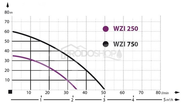 Curba puterii pompei: Hidrofor WZI 250 / 8 L - in picioare
