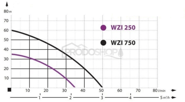 Curba puterii pompei: Hidrofor automat pentru casă WZI 250 cu PC-16